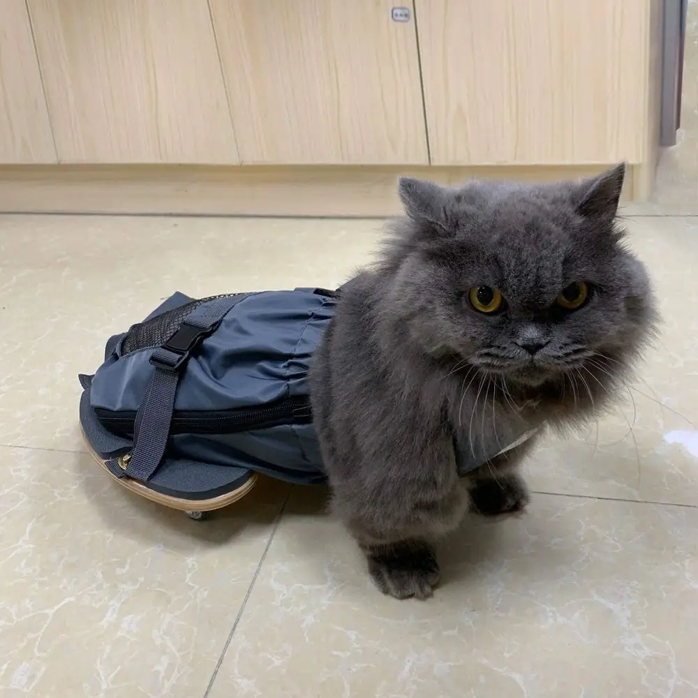 Scooter Wheelchair for Dogs with Rear Legs Paralysis Protects Chest and Limbs