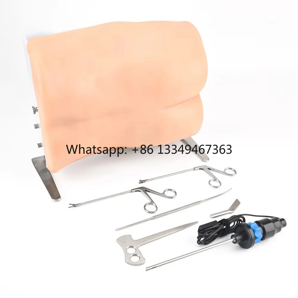 

Заводская цена Набор для тренировки поясничного отдела позвоночника, используемый для эндоскопической хирургии позвоночника UBE Учебная модель UBE