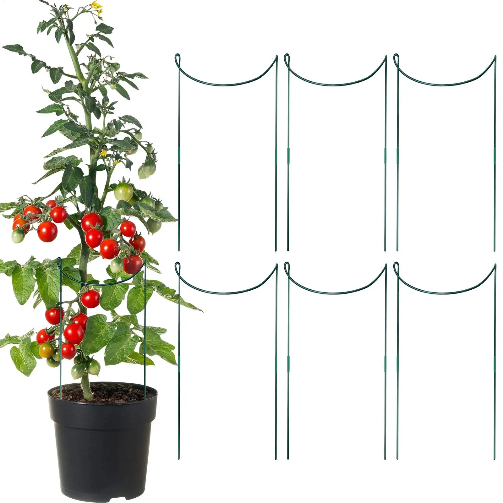 

Опорные колья для растений, 6 шт., металлические садовые колья, опора для растений для клеток, нержавеющий полукруглый держатель для стеблей, альпинизм, садоводство
