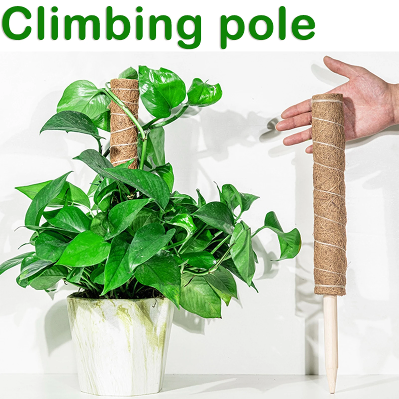 50cm Plant Climbing Coir Support Pole Potted Moss Stick Extendable Plant Support Monstera Creepers Vines Garden Supplies