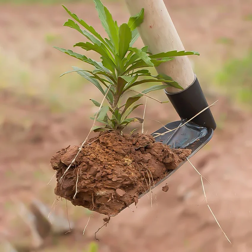 Small Hoe for Digging Soil Garden Hoe Household Outdoor Farming Tools for Planting Vegetables and Flowers