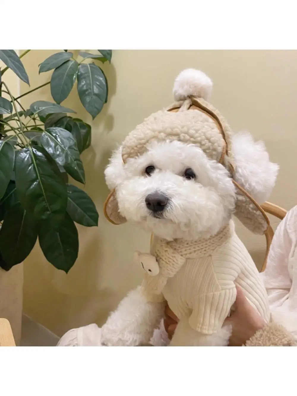 Yorkshire Terrier Dog Hat Winter Ear Exposure Autumn Winter Teddy Warm Headwear Maltese Dog Headgear Pet Accessories Baseball... - view 3
