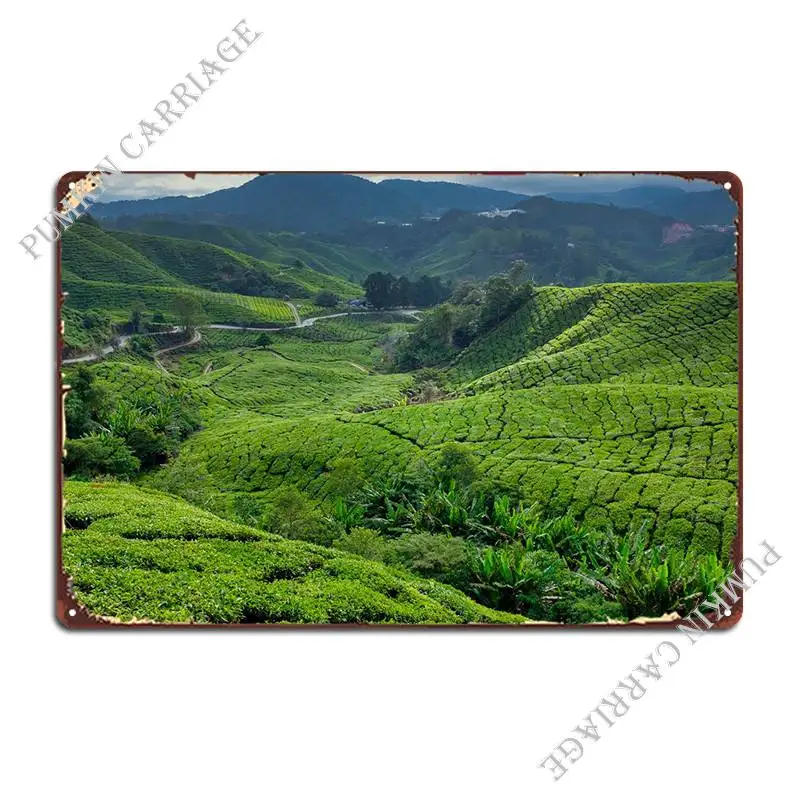 

Cameron Highlands Tea Plan Metal Plaque Poster Cinema Pub Plaques Wall Mural Tin Sign Poster