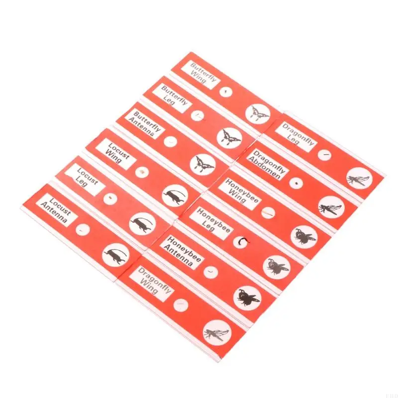 2025 New For Stereo Microscopes 48pcs Kids Plastic Prepared Microscope Slides Of Animals Plants Flowers Sample Specimens