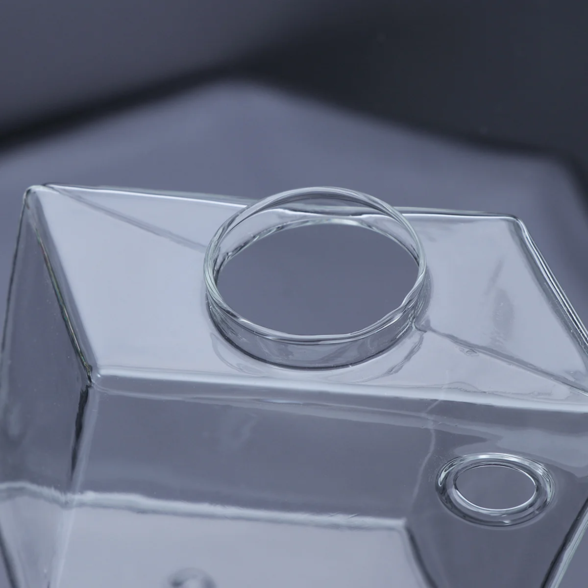 

2Pcs Glass Flower Vase High Temperature Resistant Borosilicate Glass Planter Vase Home Decor Office Garden Display