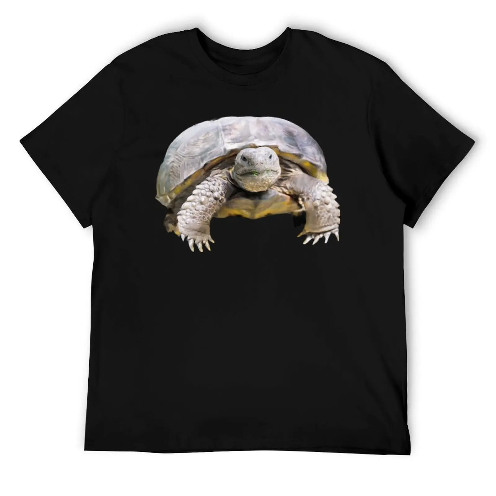 

Gopher Tortoise Tortoise Florida Turtle T-Shirt t shirt personalised man tshirt t shirts with prints T-Shirt