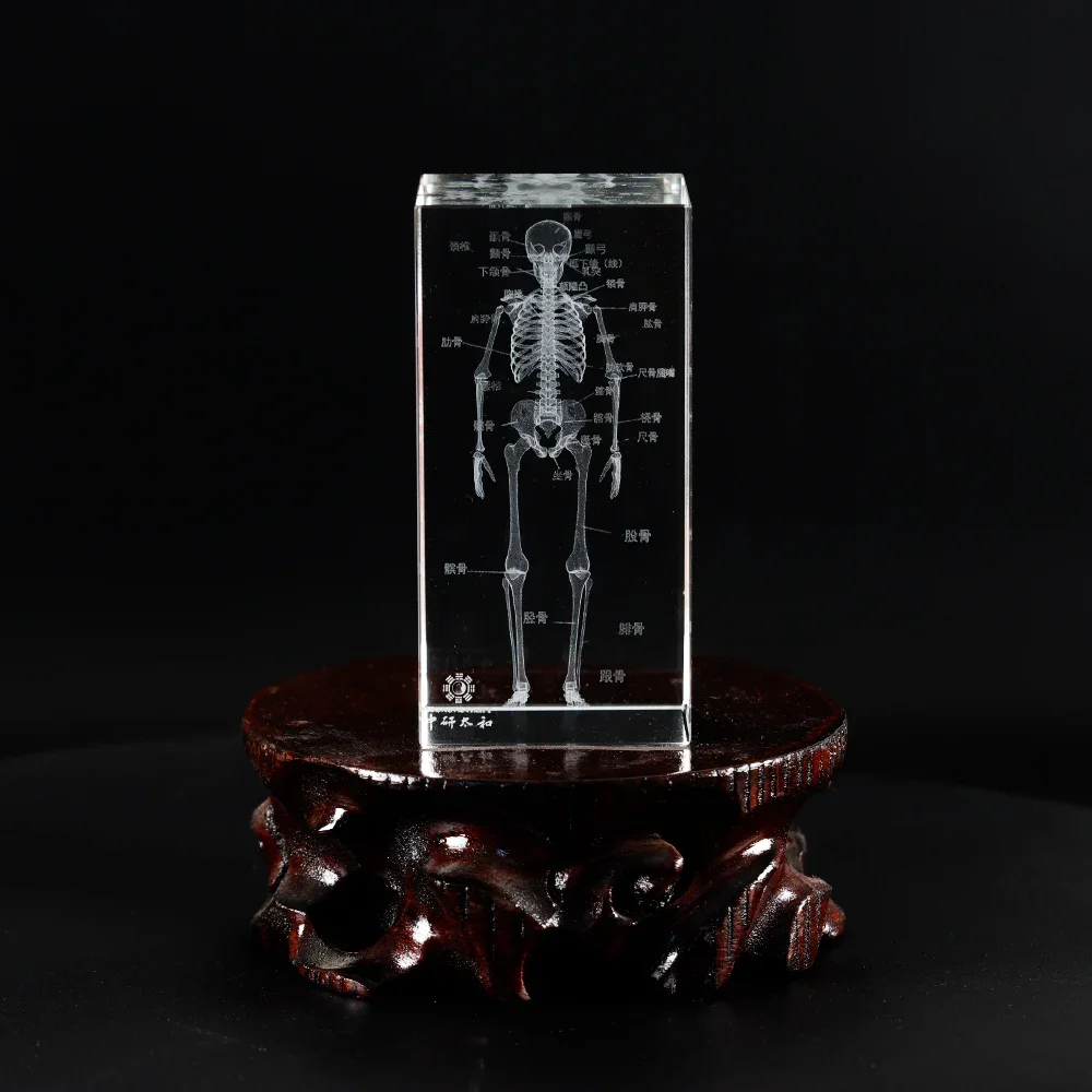 ZHONGYAN TAIHE Home Decoration 3D Crystal Inside Carved Human Organ Precision Label Luminous Crystal Square Body Ornaments