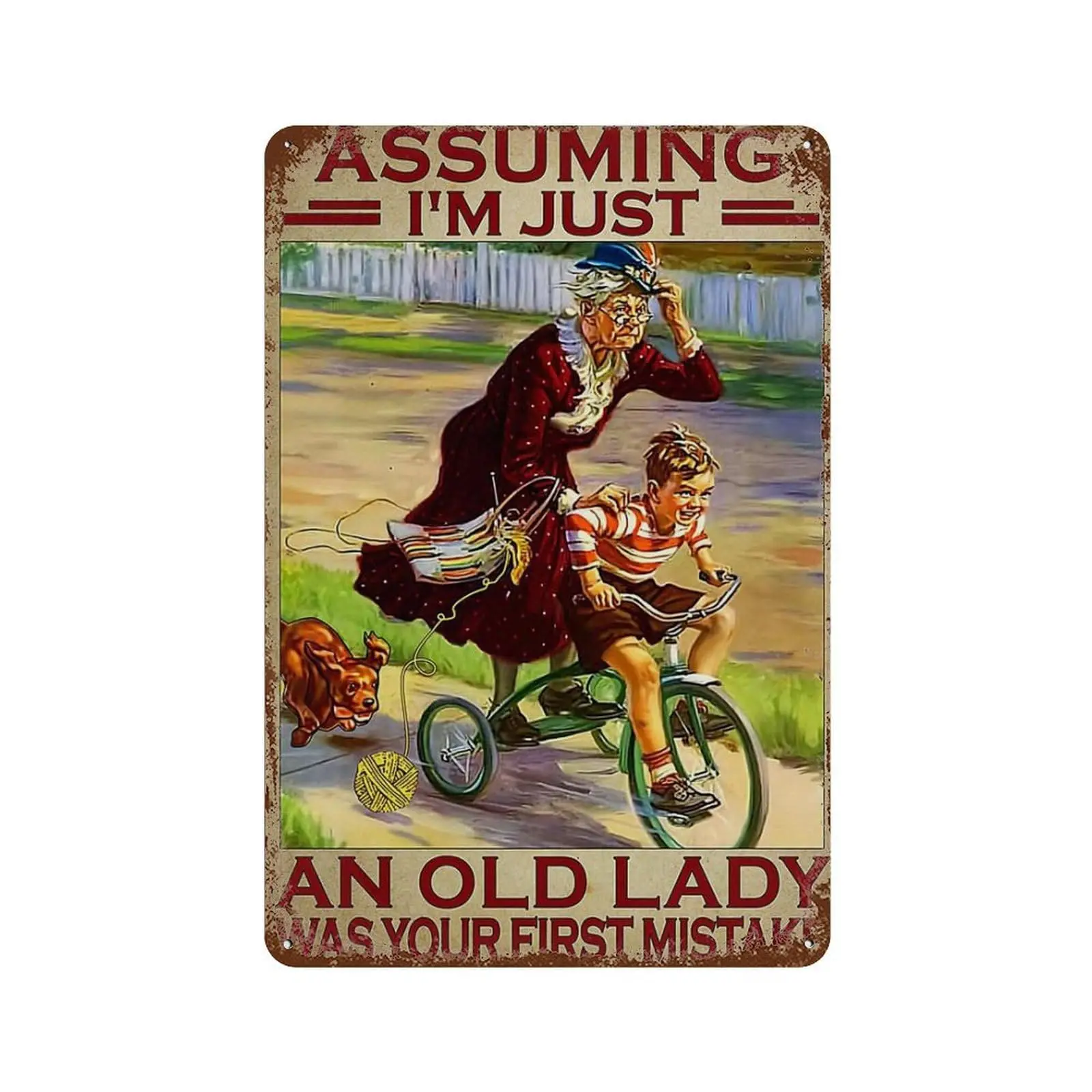 Retro Tin Sign Knitting Old Women Assuming Im Just And Old Lady Was Your First Mistake Metal Tin Sign Aluminum Sign For Home Cof