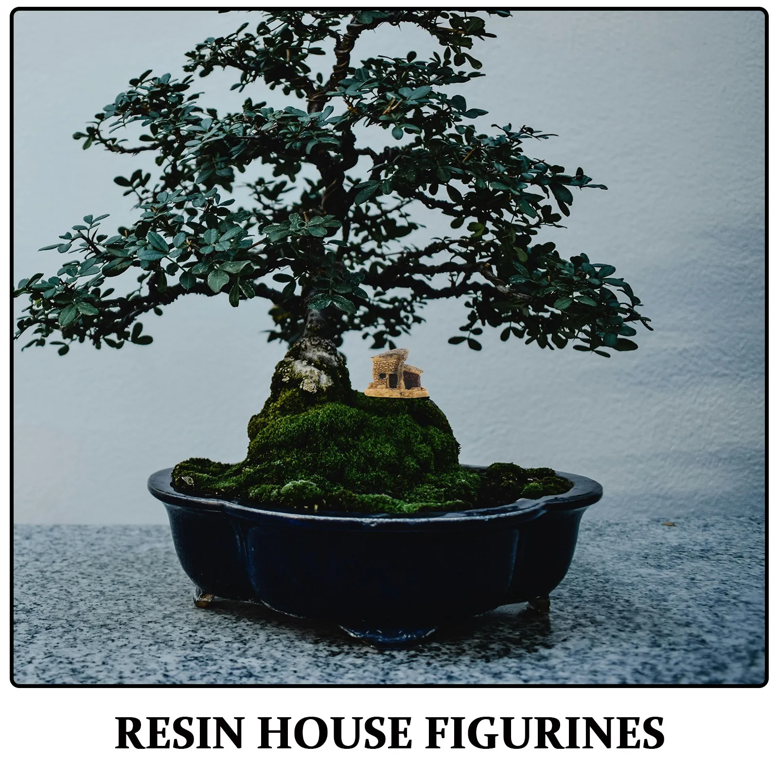 مجموعة من 8 قطع من الزخارف الر - مراجعة Bonsai Garden House وسعره