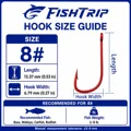 Size8