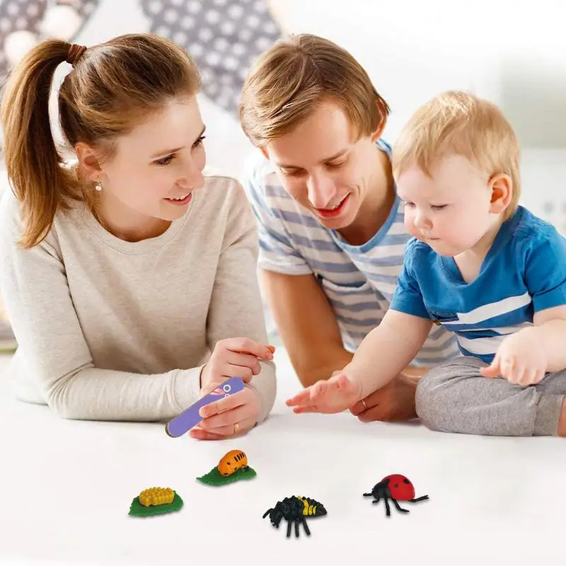 Lebenszyklus-Spielzeug, Montessori-Lebenszyklus, Tierfiguren, Vorschul-Lernaktivitäten und Wissenschaftsspielzeug, lustiges Lernspiel für Jungen