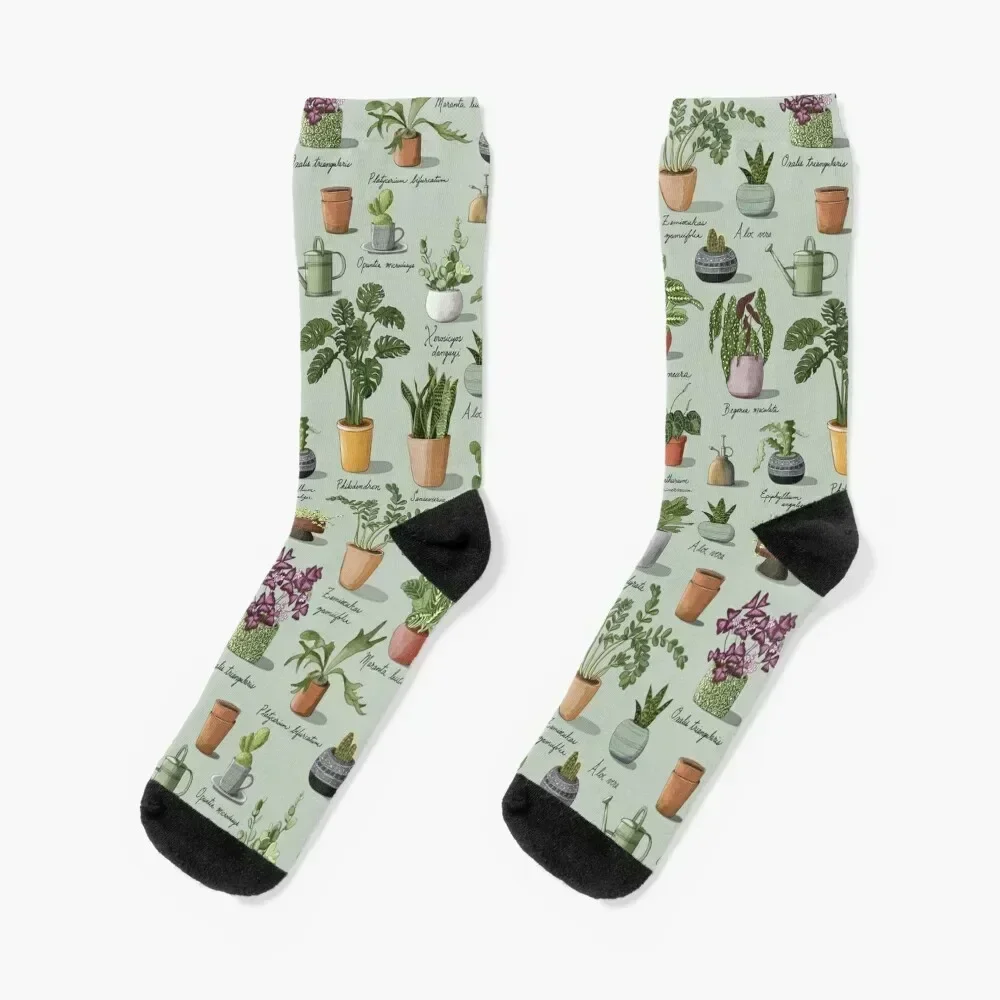 Succulents and Potted Plants Pattern Socks christmas gift football winter Rugby Designer Man Socks Women's
