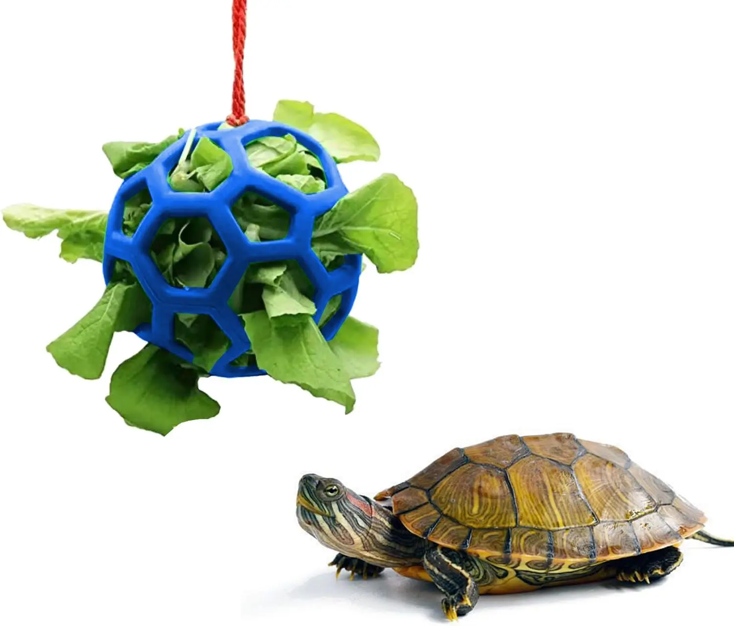 2Pcs Hanging Tortoise Treat Ball Vegetable Dispenser Hay Feeder Feeding Grass Ball for Tortoise Rabbit Guinea Pig Accessories