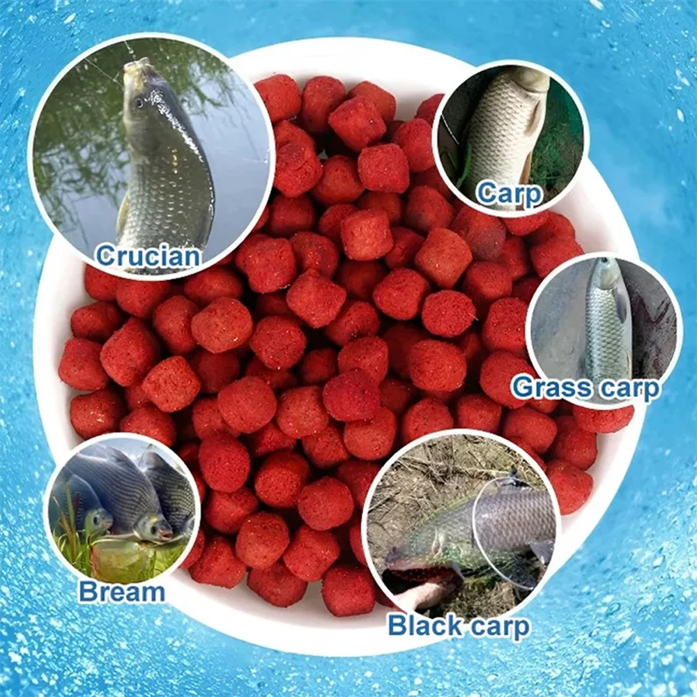 Fresco molhado granular proteína isca de pesca, peixe cheiro atraente, iscas, pelotas, alta proteína, pesca selvagem, homem