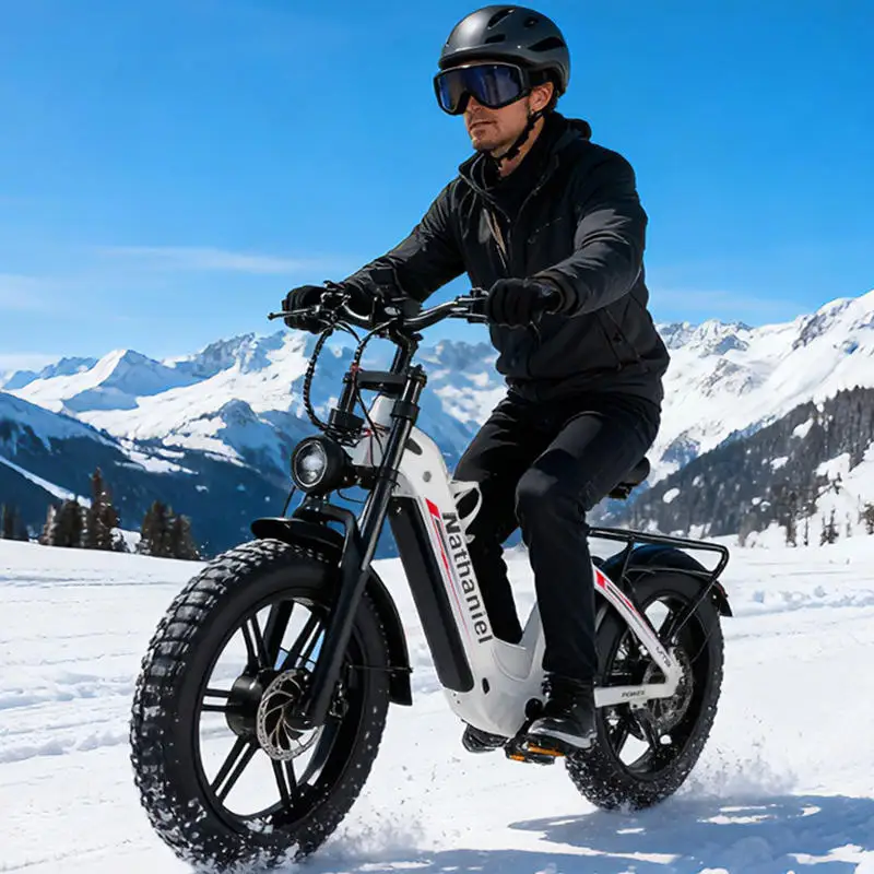 Nathaniel SYR08 Electric Bike Dual Motor 2000W 48V 40AH Dual Battery Adult Off-Road Electric Bicycle 20 inch All-Terrain E-Bike image 8