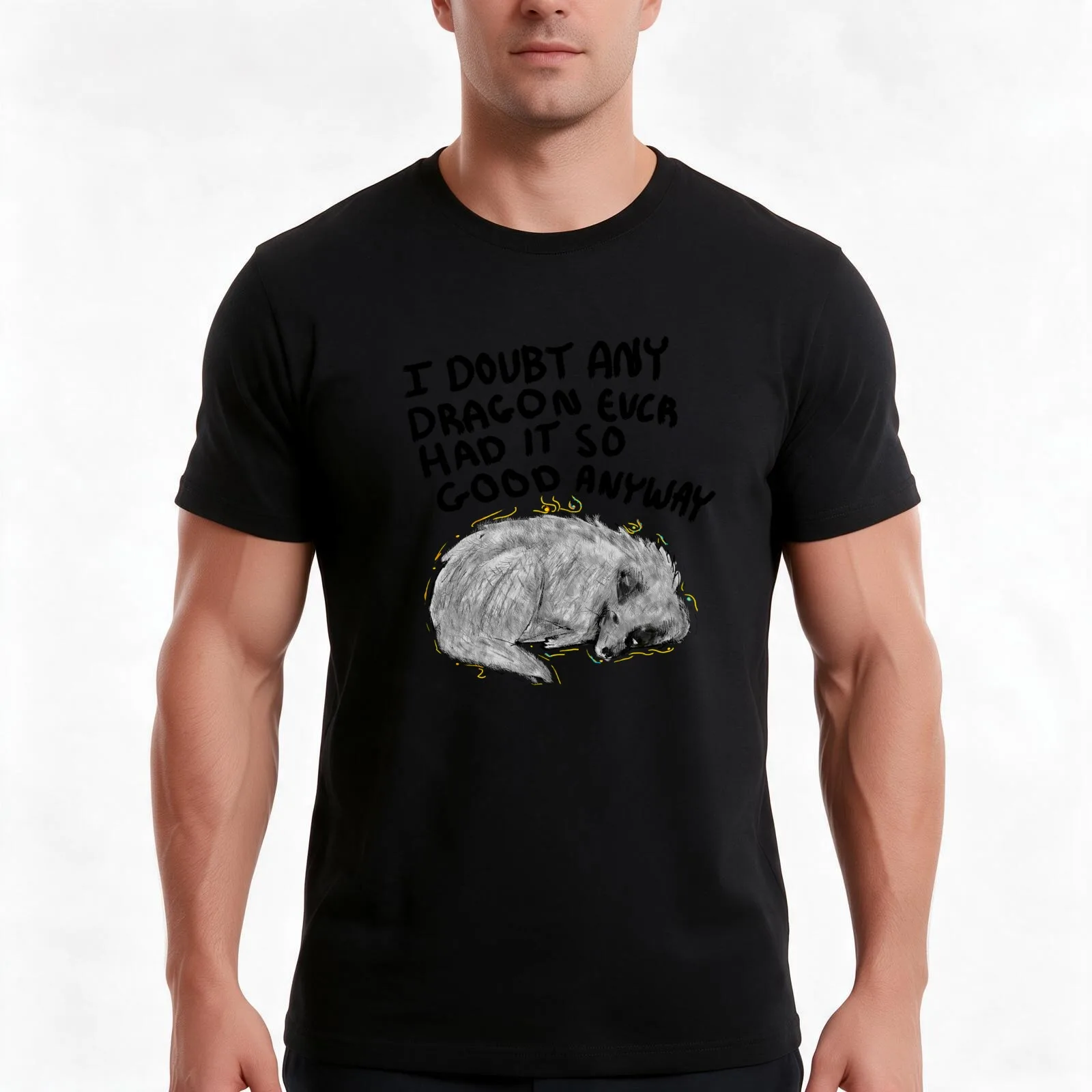 I Doubt Any Dragon Had it This Good Anyway - Stormlight Archive T-Shirt, Summer Casual Cotton Tee, Oversized Streetwear Tops