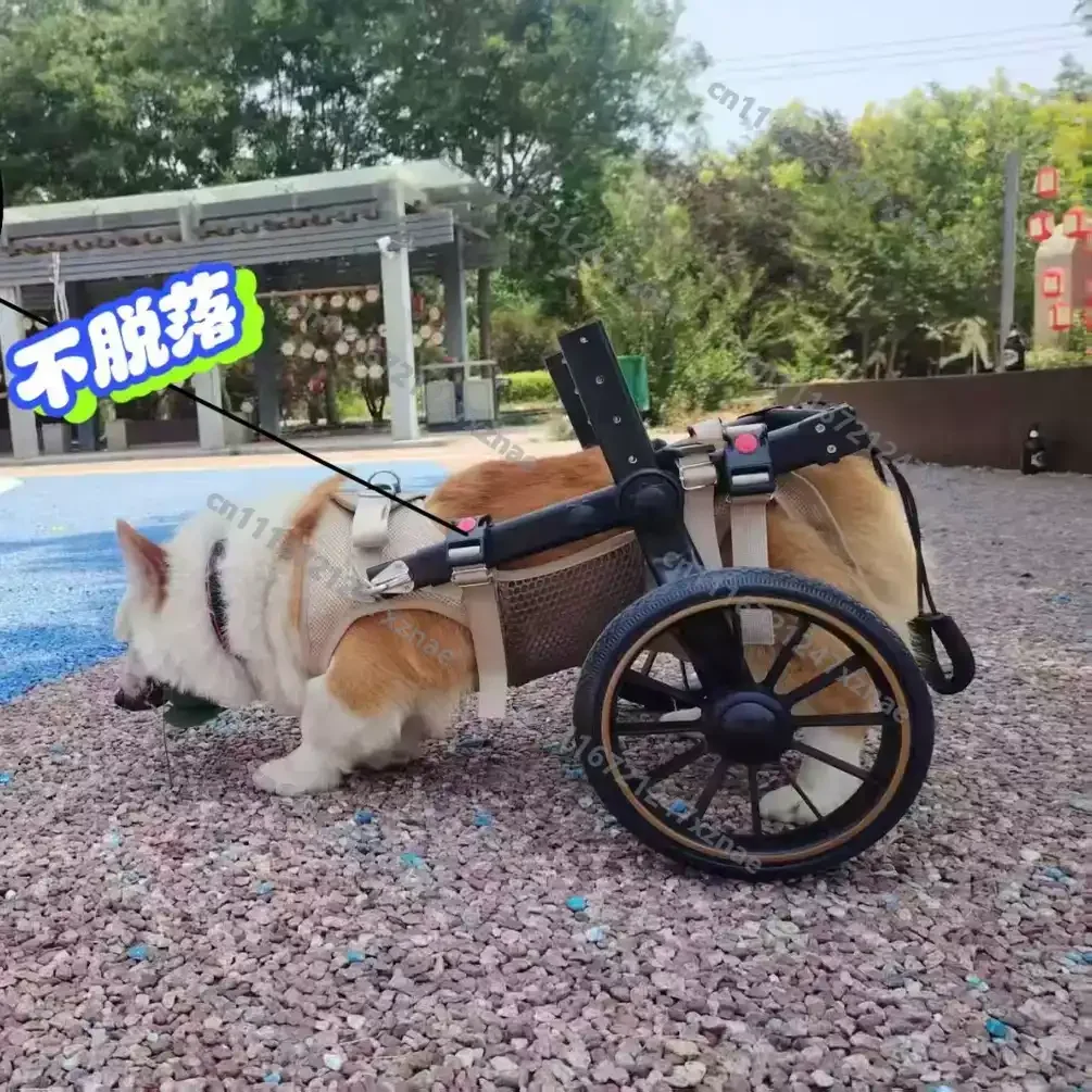 Rehabilitation Training Dog Wheelchair, Medium to Large Dogs, Hind Limb Assistance, Disability Mobility Aid, Pet Walker Trolley