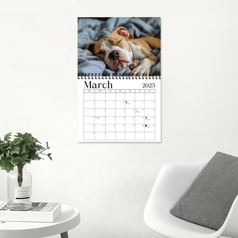 Calendrier mural drôle avec motif de chien endormi, rappel de vacances, maison et bureau, outil de gestion du temps, licence 03, 2025