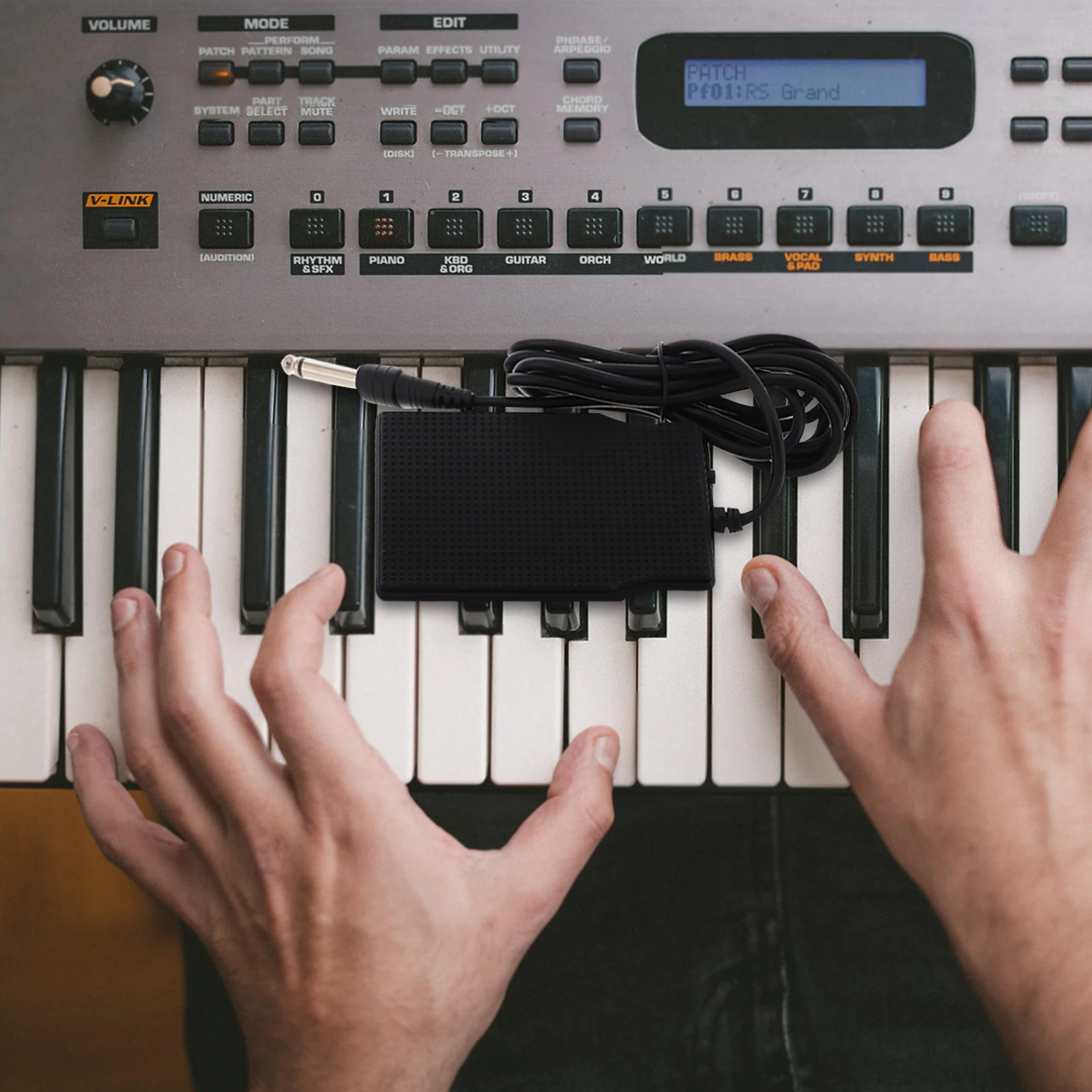 

Universal Sustain Pedal For Electronic Keyboard Digital Piano With Polarity Switch Anti-Slip Durable Shock-Resistant Midi Cable