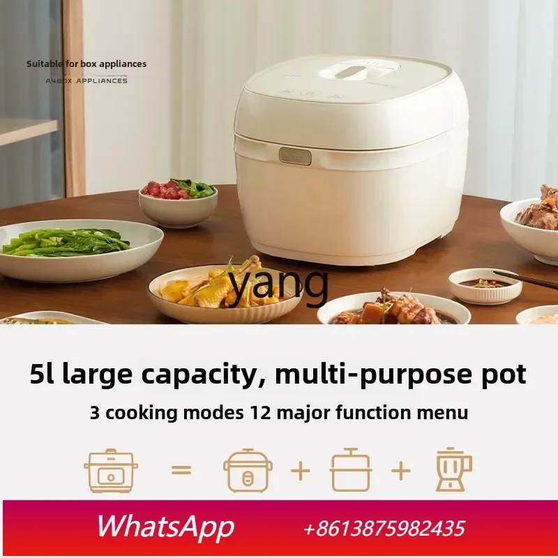lX large capacity 5L liter intelligent electric pressure cooker household multi-functional soup cooking voltage pot