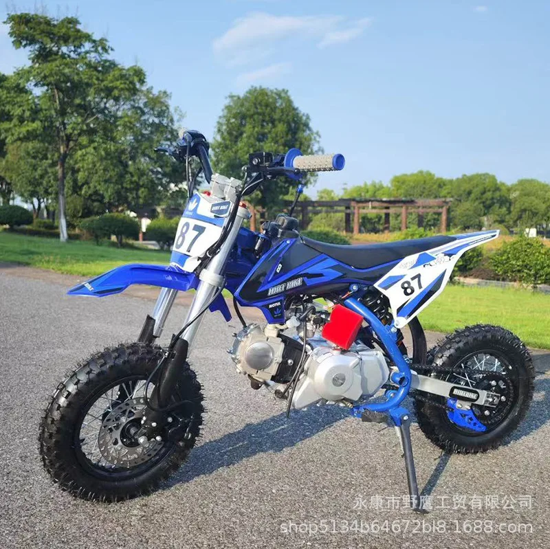 New Reigt 125cc Small Adult Mountain Mini Motorcycle Electric Fuel for Children and Off-Road
