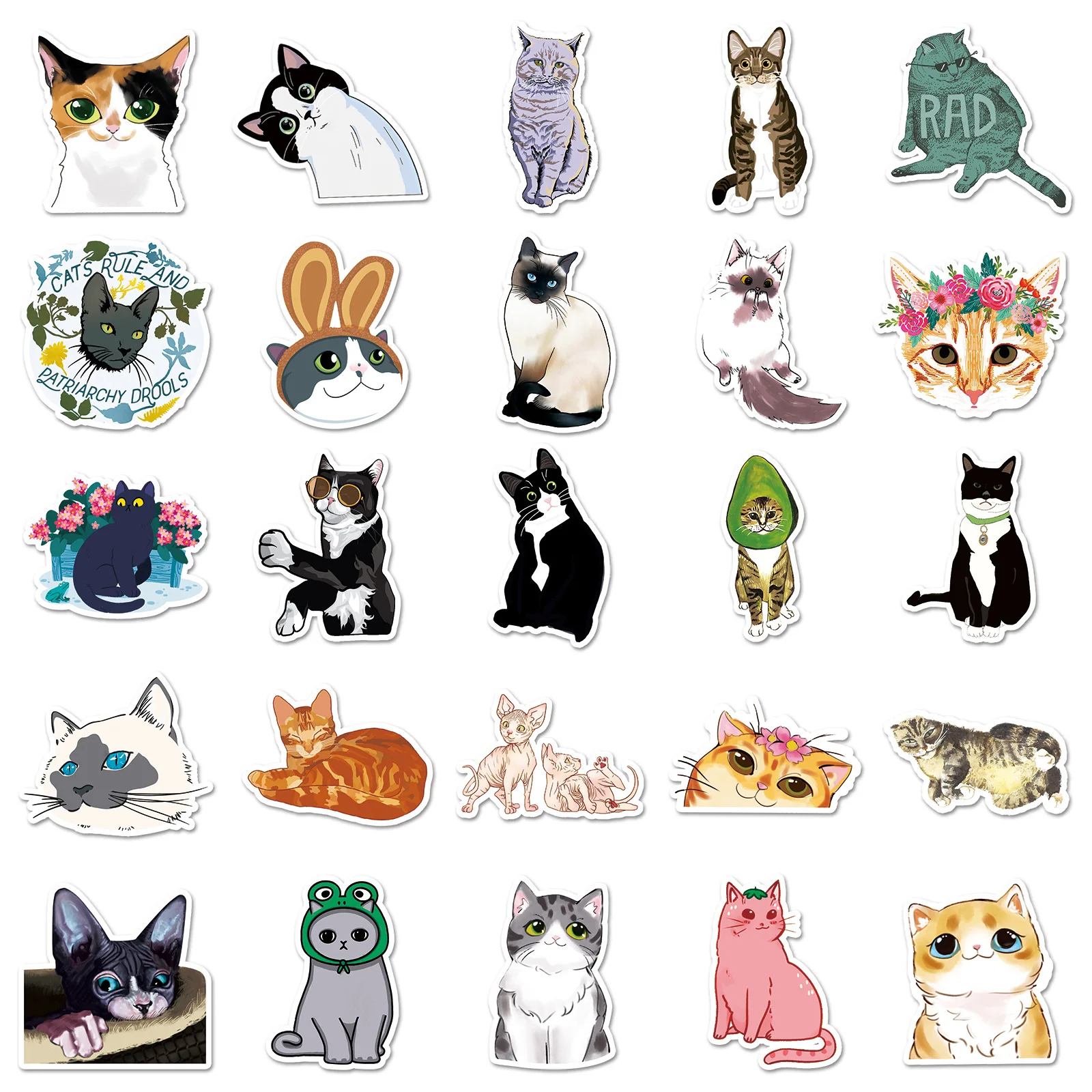 50 adet sevimli kedi karikatür - Kids Toys Laptop incelemesi ve fiyatı