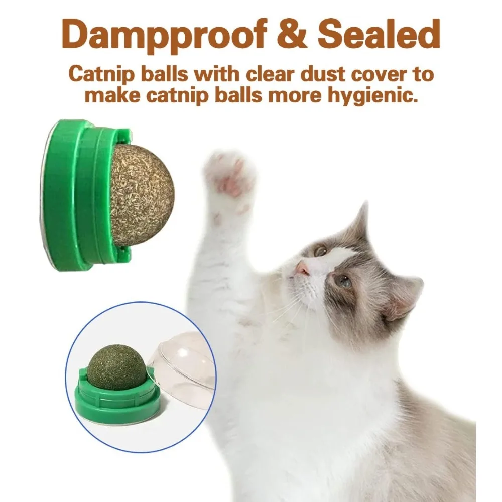 1-3 قطعة كرات النعناع البري للقطط ألعاب النعناع البري الحائط الصالحة للأكل لعق القط آمنة صحية هريرة مضغ اللعب تنظيف الأسنان ألعاب القط الأسنان