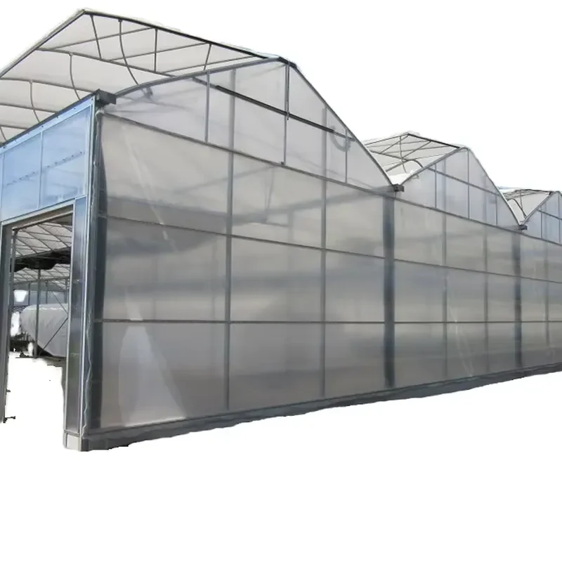 Turnkey Large Size Multi-Span Agricultural Greenhouse with Hydroponics System Poly Tunnel Greenhouse