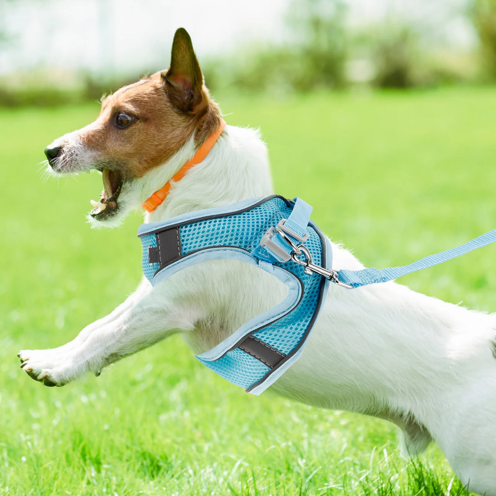 

2 Pieces Pet Harness Blue Grey Reflective Breathable Dog Walking Set Summer Adjustable Vest Leash S Size Outdoor Training Dog