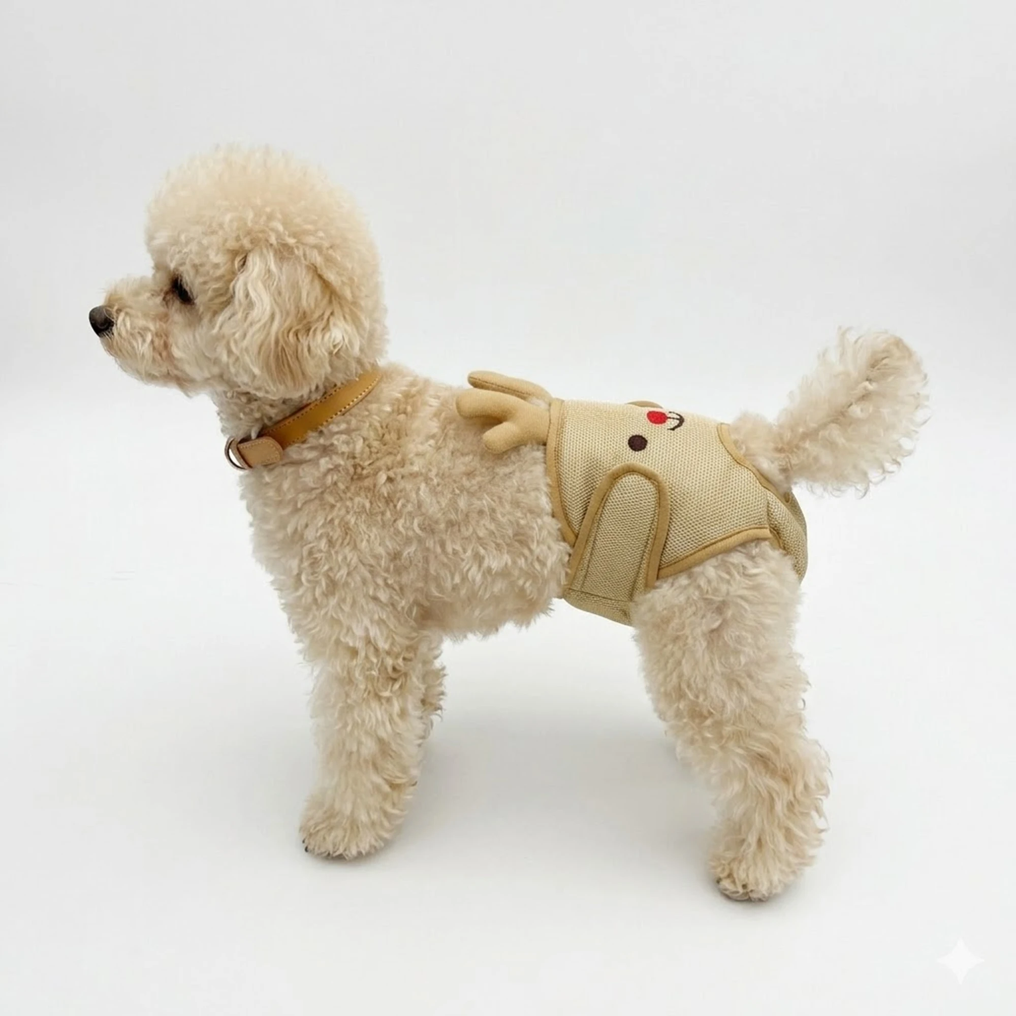 Culotte de protection pour chienne, anti-harcelement, réglable, confortable, respirante, lavable, pour la période de chaleur, fournitures pour animaux de compagnie