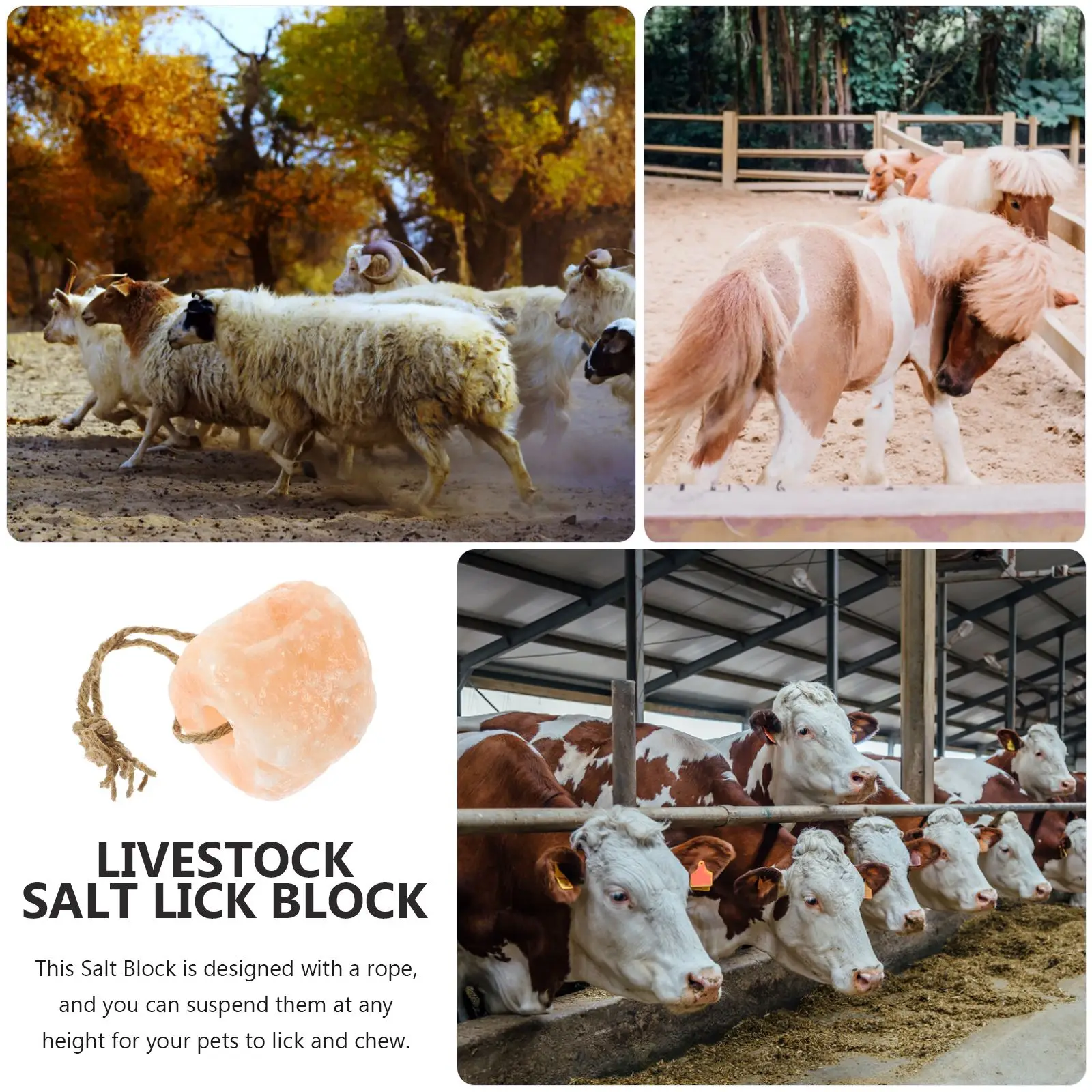 Bloque de sal para lamer animales, Cabra, lamer minerales de sal en cuerda, ladrillo de sal de nutrición Natural para ganado, animales domésticos, suministros para caballos