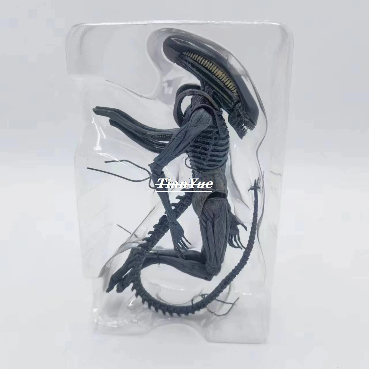 Variant: no retail box