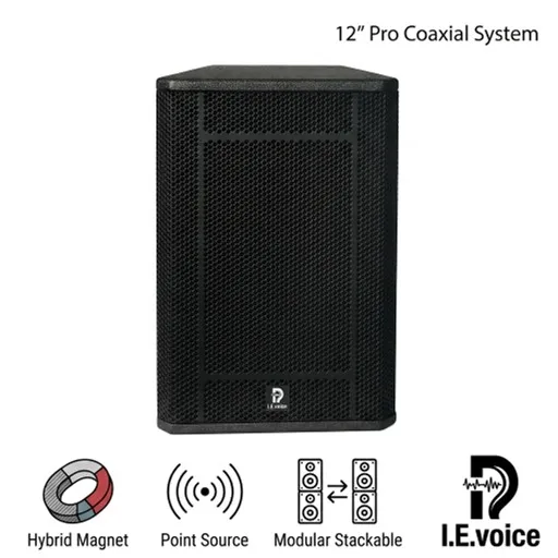 OEM/ODM I.E.Voice Custom Wholesale 12-inch Nd-Fe Hybrid High Flux Coaxial Line Array Speaker