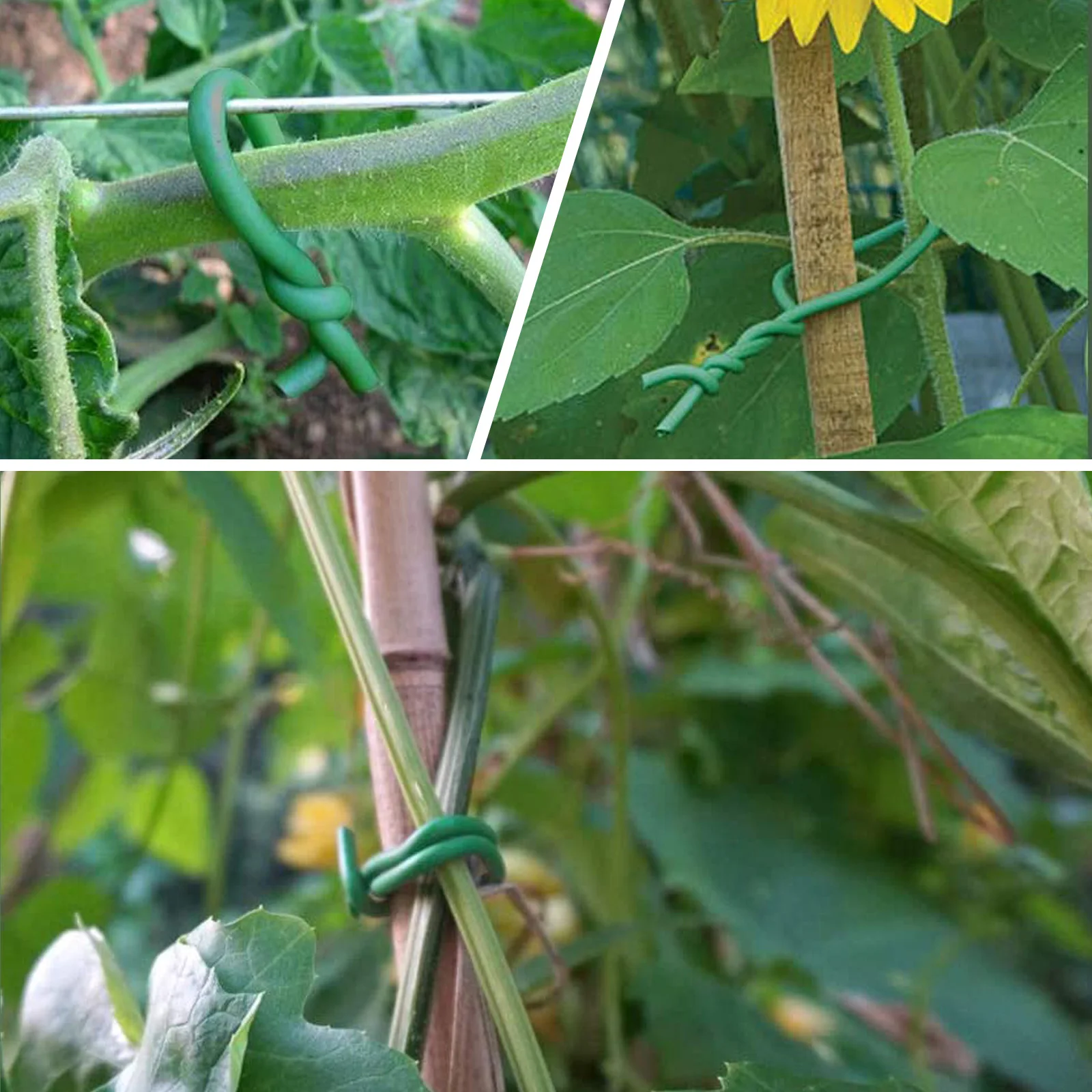 

Soft TPR Iron Plant Ties Garden Fixing Wire Cable Tie Twist Vines Branches Support Gardening Accessories Green Practical