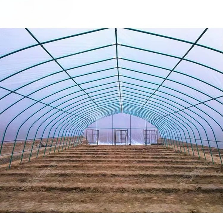 Large Walk-in Poly Tunnel Greenhouse Modular Grow Tent Portable Plant House Waterproof PE Cover Galvanized Steel Frame Shed