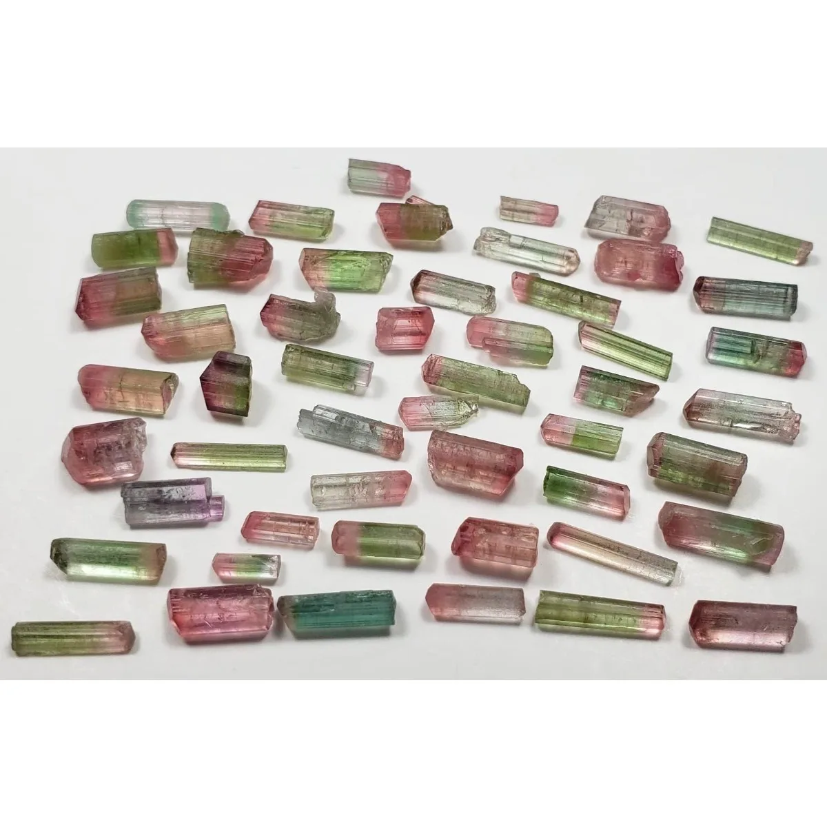 Brazilian Elbaite Gemstone Stones, 10g 5-15mm Colorful Raw Crystals, Display Box for Shelf Decor & Educational Specimens