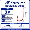 Size2