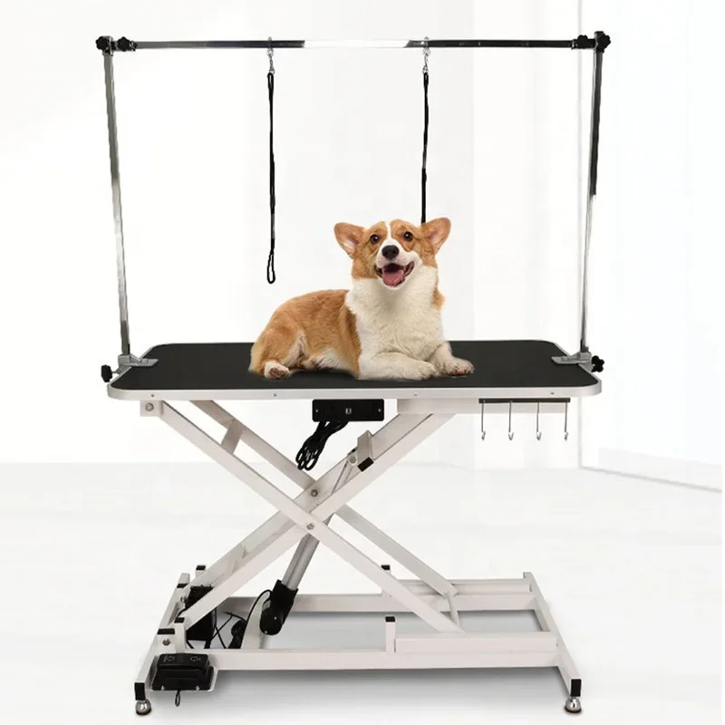 New 2022 High Quality Pet  Electronic Lifting Grooming Table with Remote Control for Dogs Grooming