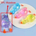 1pc(random)