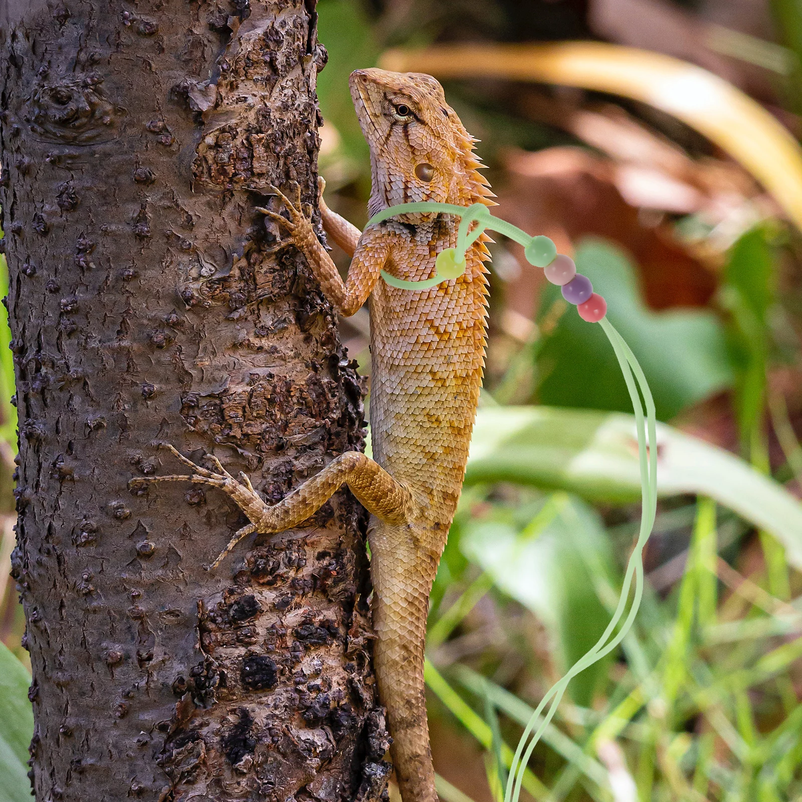 

Little Pet Luminous Leash Bearded Dragons Harness Traction Rope Lizards Outdoor