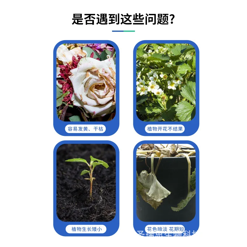 Refined Degreased Bone Meal Flower Organic Fertilizer Phosphate Potassium Fertilizer Promote Flowering Fertilizer