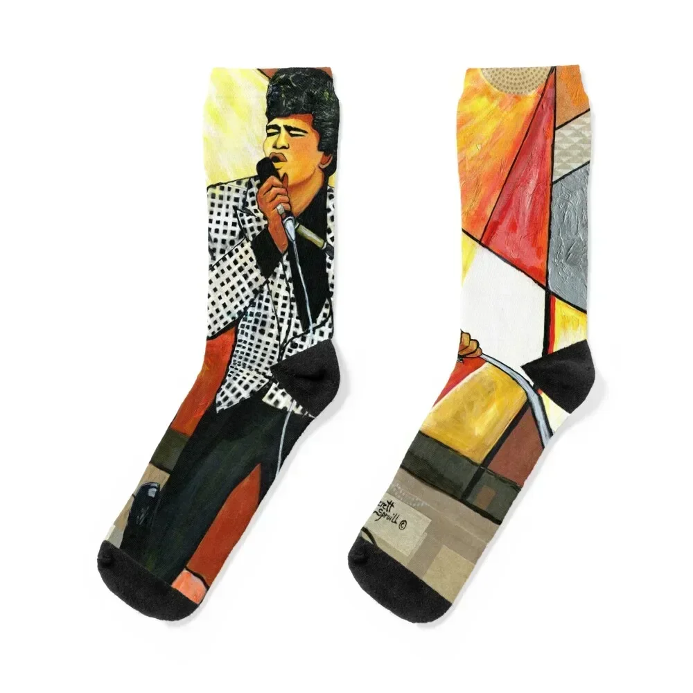 

Godfather of Soul James Brown Socks sports stockings warm winter Male Socks Women's