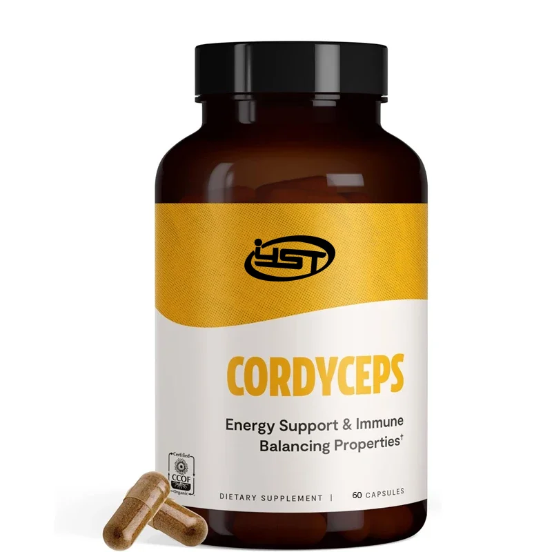 Cordyceps sinensis mushroom supplement - for energy and endurance (60 capsules)