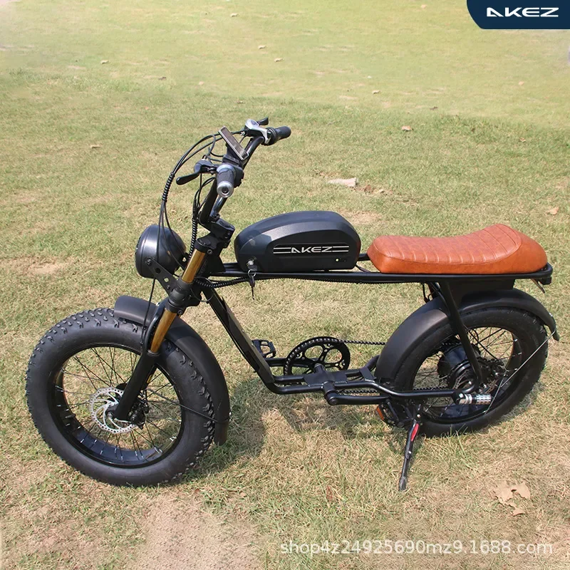 AKEZ Z10 Retro Electric Bicycle High Carbon Steel E Bike for Adults Students Unisex Commuting Folding Electric Scooter