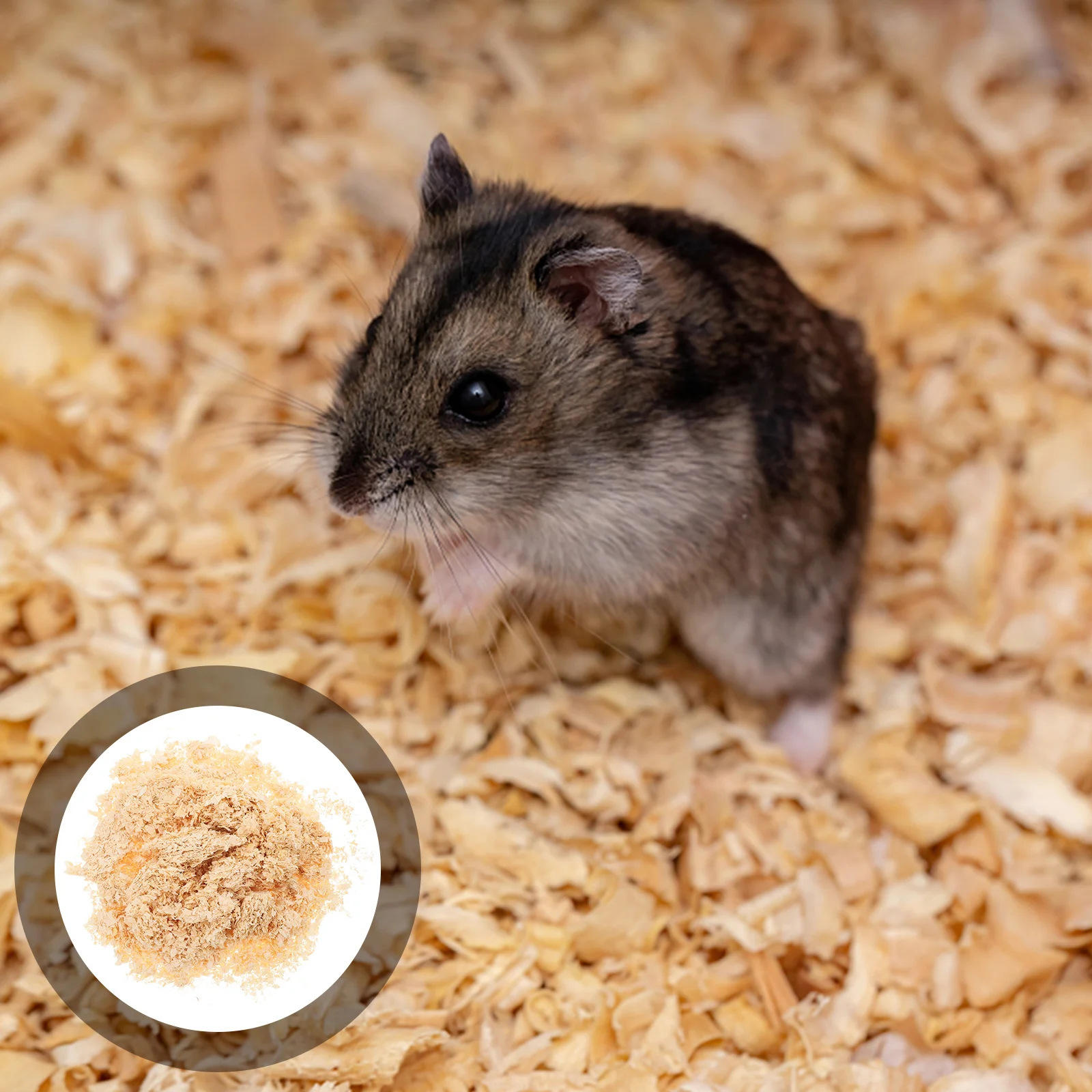 

Natural Wood Shavings Pet Bedding Small Animals Hamster Rabbit Guinea Pig Chicken Coop Snake Reptile Enclosures Odor Control