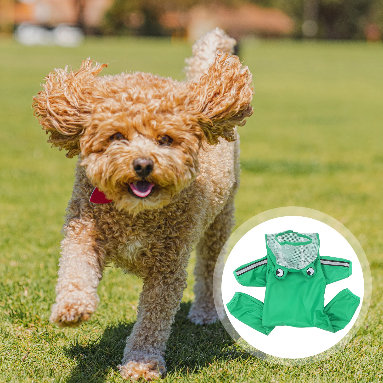 

Waterproof Pet Raincoat Hooded Jacket Stylish Unique Eye-Catch Color 360 Clear View Protection for Small Medium Dogs Xl