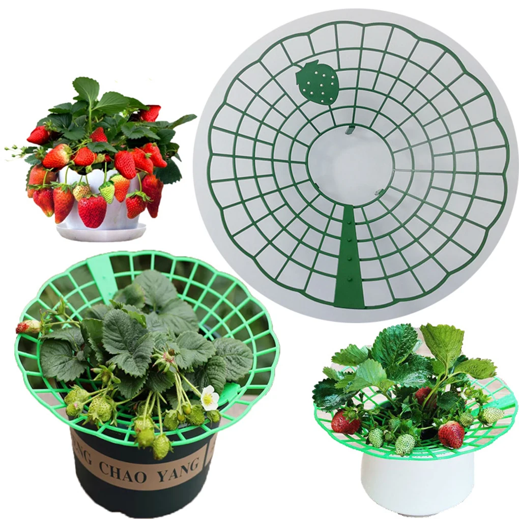 20PCS Strawberry Stand Green Climbing Trellis Home Vine Pillar Lightweight Garden Tools Frame Holder Plant Plastic Fruit Support