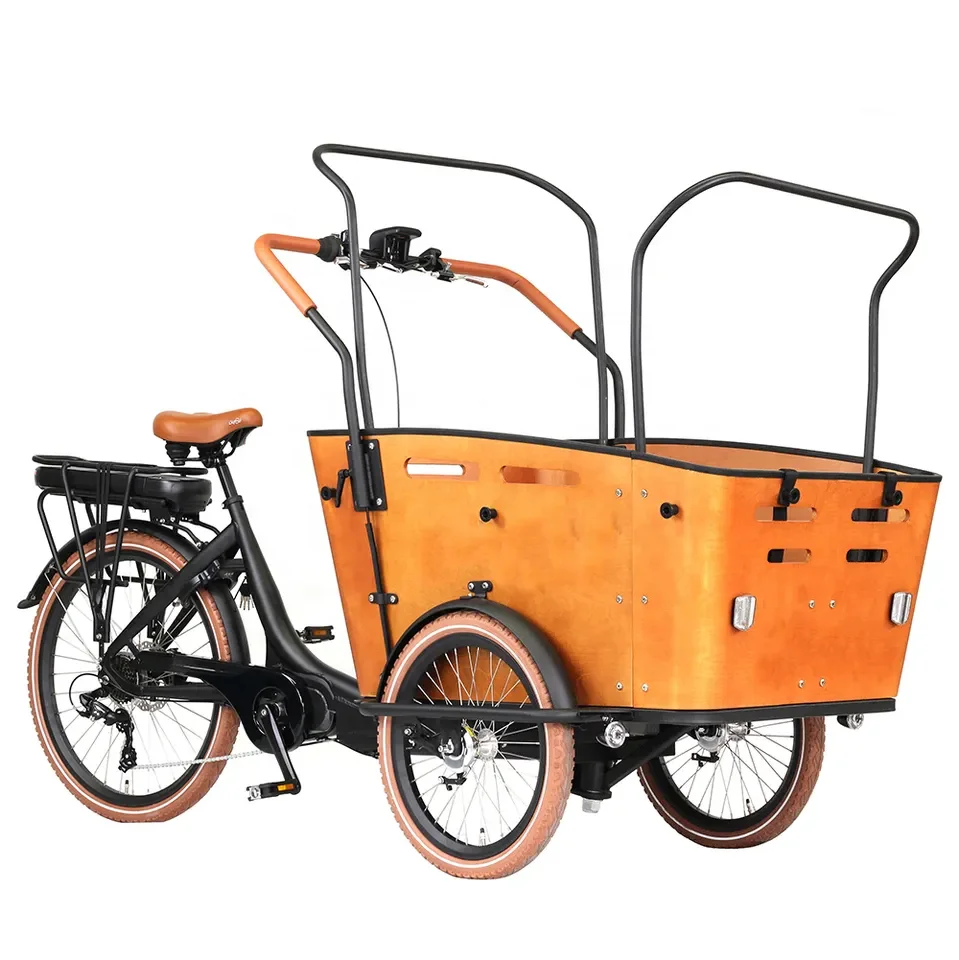 Trike elétrico da cauda longa para a família, bicicleta do torque da carga, bicicleta luxuosa, assento de estrela máximo, quadro do motor, estilo da bateria do poder, engrenagens do motor