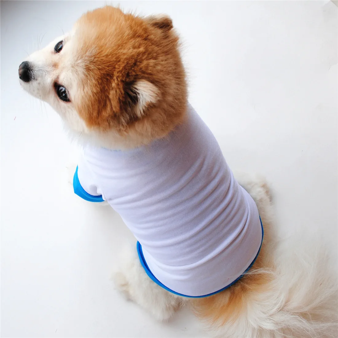 Fashions Sublimation Blank Pet Clothes Comfortable Polyester Dog Vest T-Short Sleeve Puppy Cat Pullover for Diy Photo Print