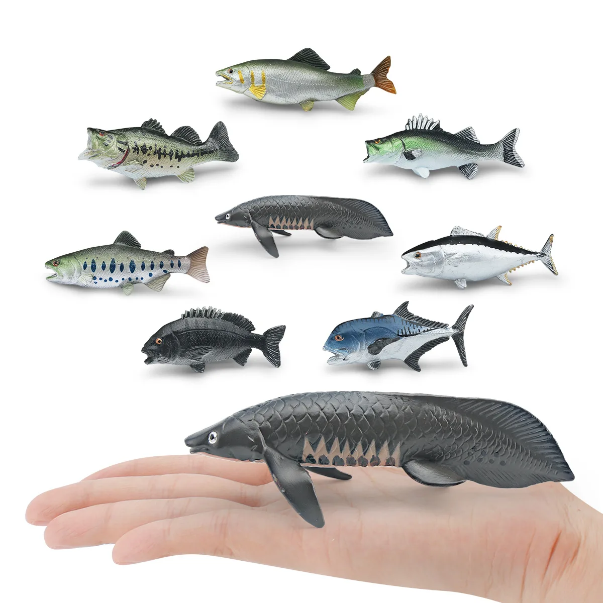1 قطعة مقلد التونة صحيح النهاش لعبة مجسمة أرقام صغيرة واقعية السلمون الحيوانات البحرية سلسلة الحرف للأطفال هدية